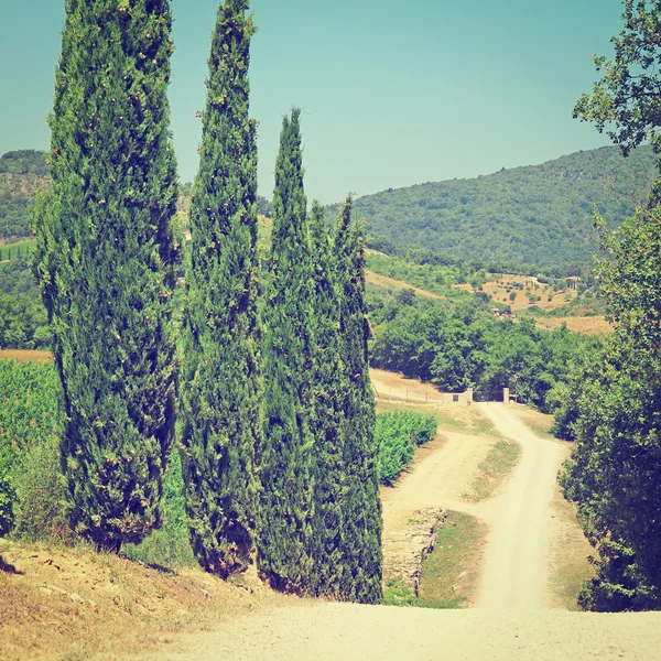 Paisaje típico toscano en Italia — Foto de Stock