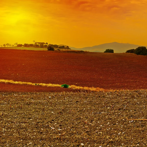 Explorações agrícolas — Fotografia de Stock