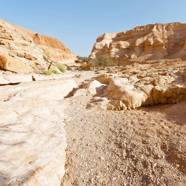 Lecho seco del río — Foto de Stock