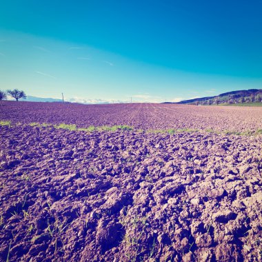 sürülmüş alanlar