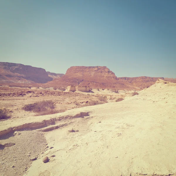 Canyon — Photo