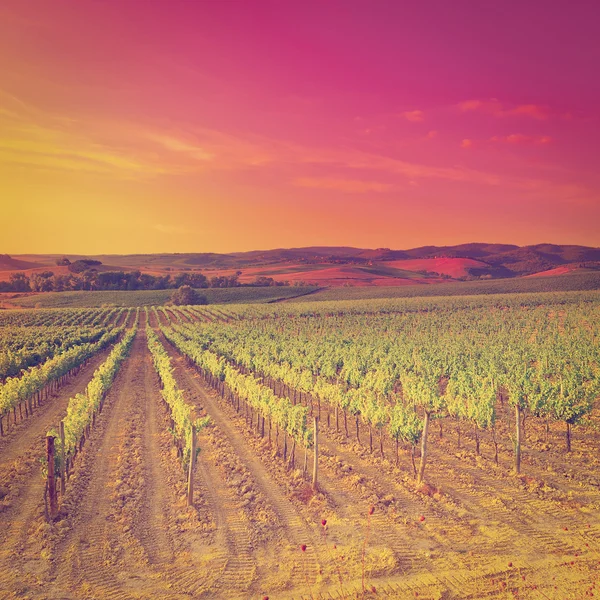 Toscana — Fotografia de Stock