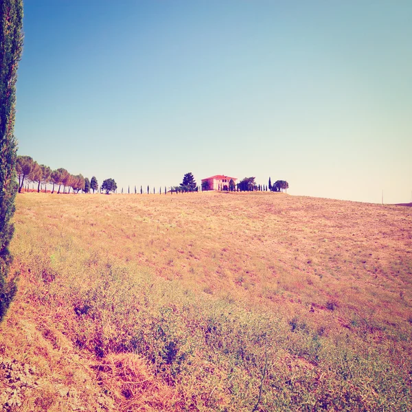 Boerderij — Stockfoto