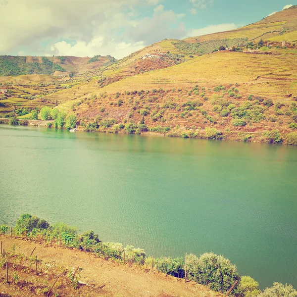 Valley of  Douro — Stock Photo, Image