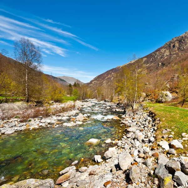 Corrente di montagna — Foto Stock