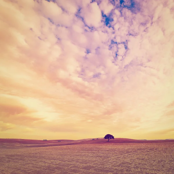 Clouds — Stock Photo, Image