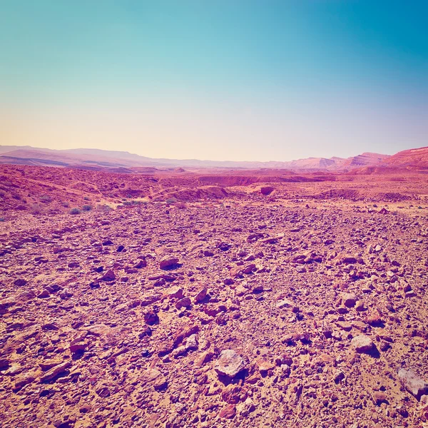 Sunset in Desert — Stock Photo, Image