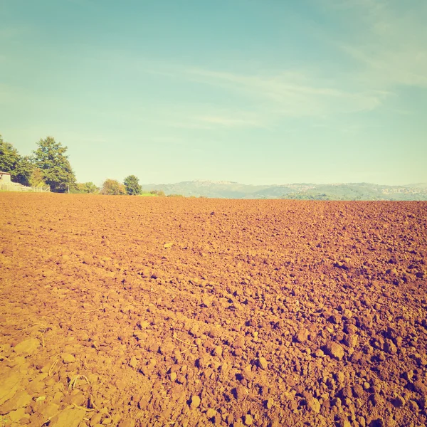 Veld — Stockfoto