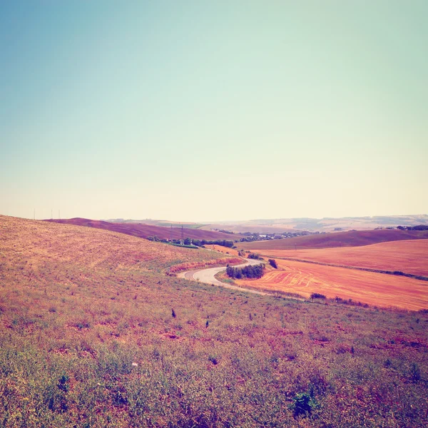 Winding  Road — Stock Photo, Image