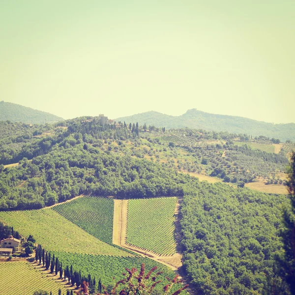 Toskánskou krajinu vinic a olivových hájů — ストック写真