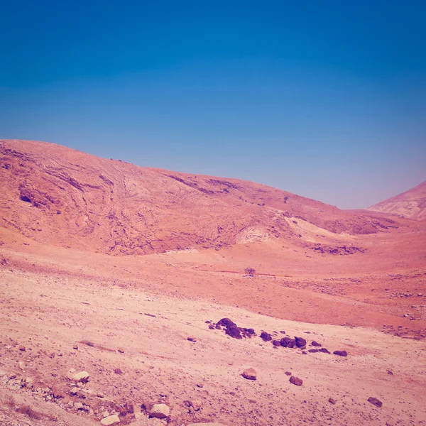 Deserto — Foto Stock