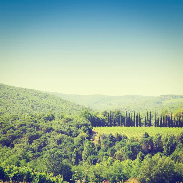 Toscane — Stockfoto