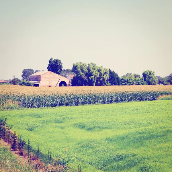 Boerderij — Stockfoto