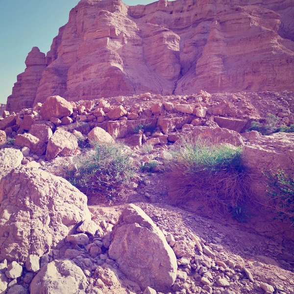 Deserto — Fotografia de Stock