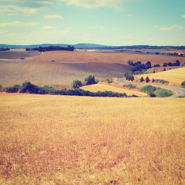 Strada in Toscana — Foto Stock