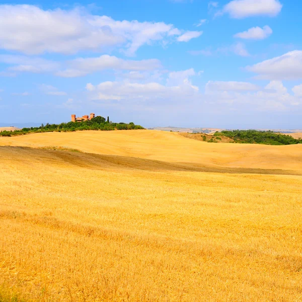 Prados da Toscana — Fotografia de Stock