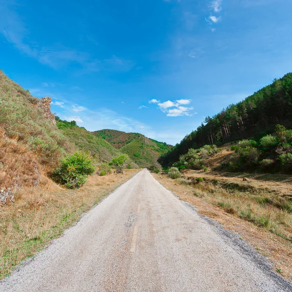 Estrada de asfalto — Fotografia de Stock