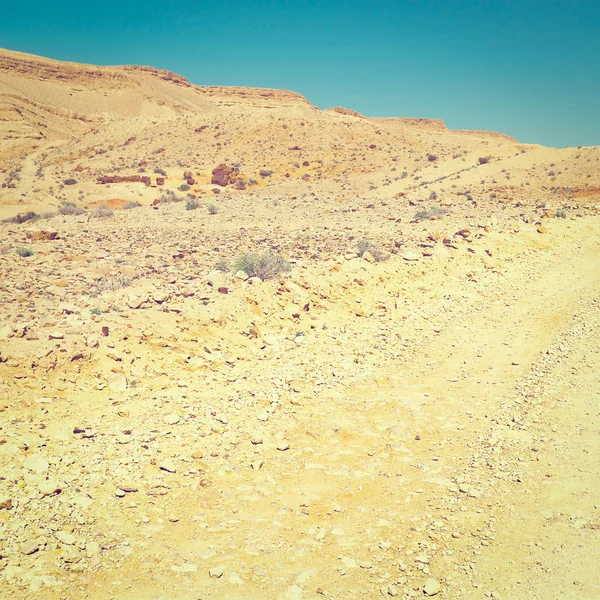 Deserto — Fotografia de Stock