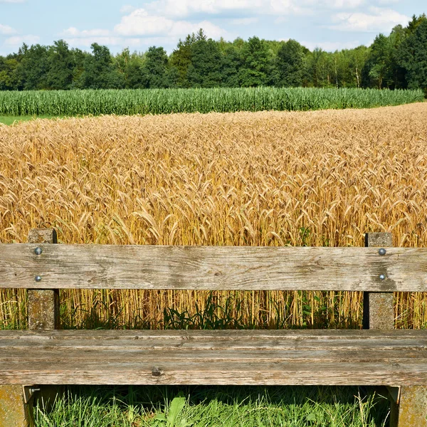 Wooden Bench — Stock Photo, Image