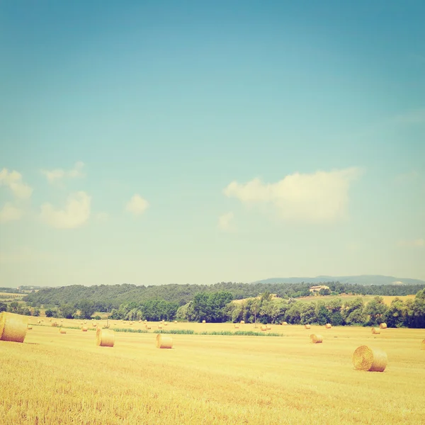 Toskana — Stockfoto