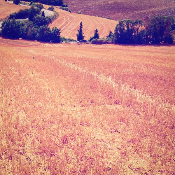 Toscane — Photo