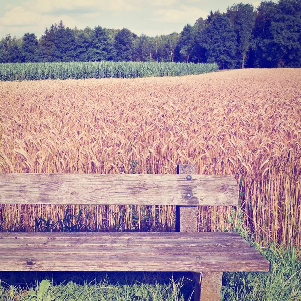 Wheat — Stock Photo, Image