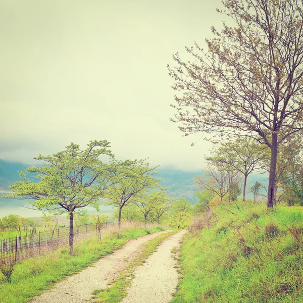 Dirt Road — Stock Photo, Image