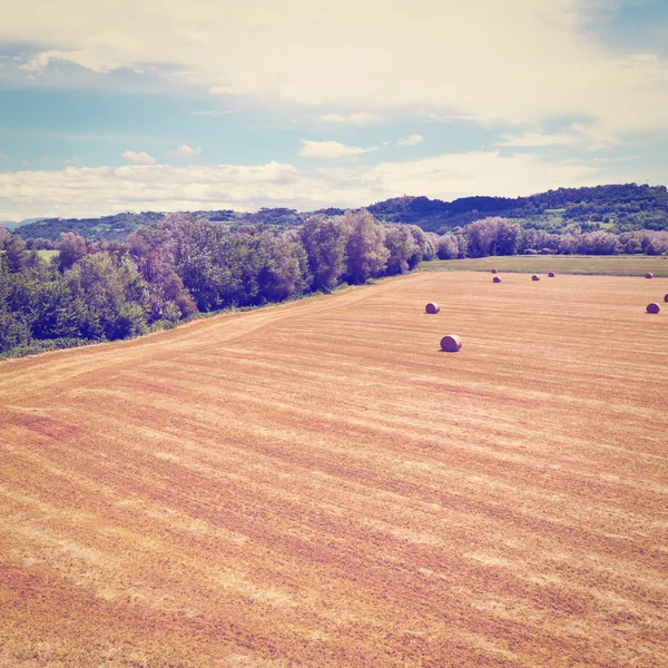 Fields in Italy — Stock Photo, Image