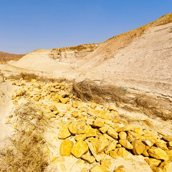 Nehir yatağı — Stok fotoğraf