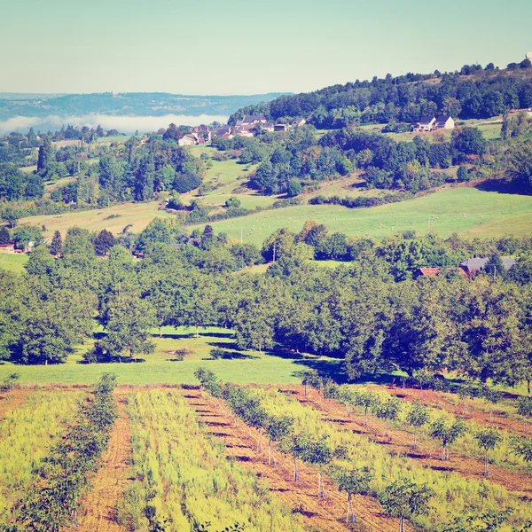 Paesaggio — Foto Stock