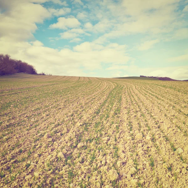 Geploegd veld — Stockfoto