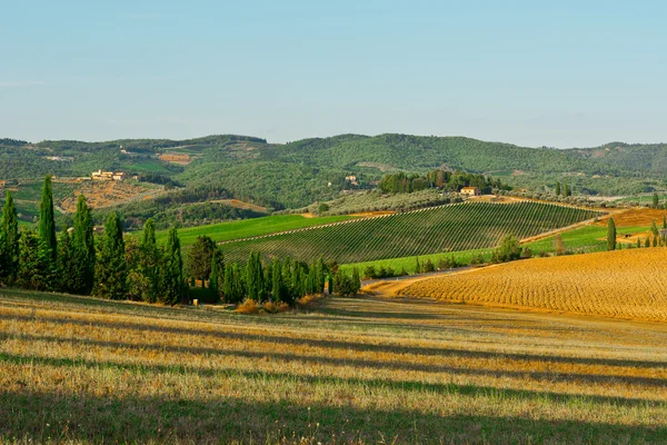 Hills — Stock Photo, Image