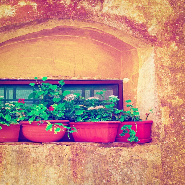 Decorated Window — Stock Photo, Image