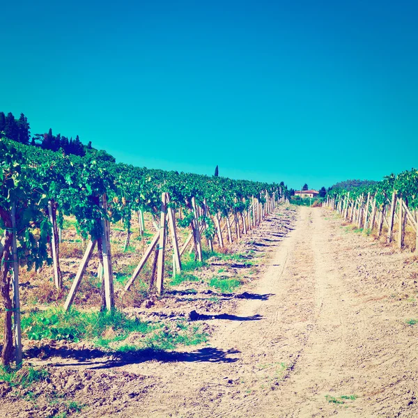 Região de Chianti — Fotografia de Stock