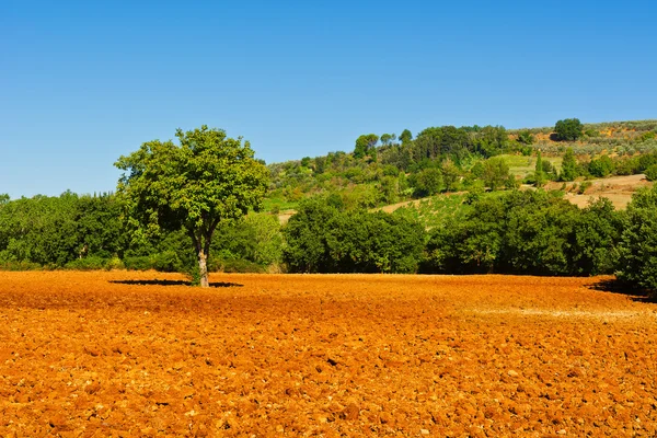 Plowed Field — Stock Photo, Image