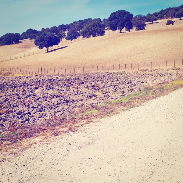 Colline in pendenza — Foto Stock