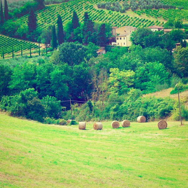 Balle di fieno — Foto Stock