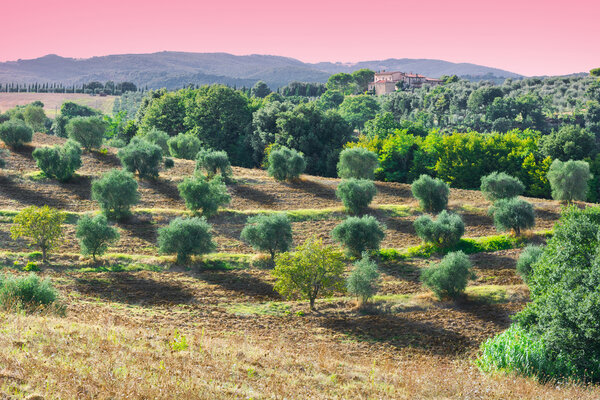 Тосканский пейзаж
 