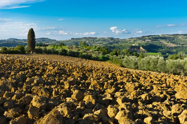 Campi perduti — Foto Stock