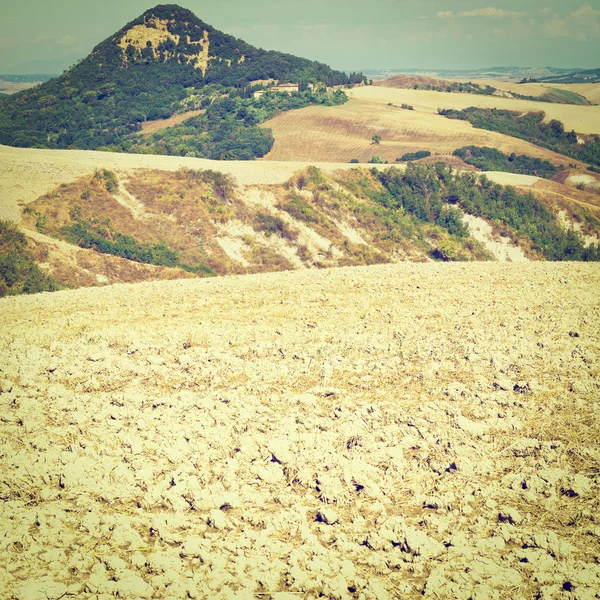 Collina verde — Foto Stock