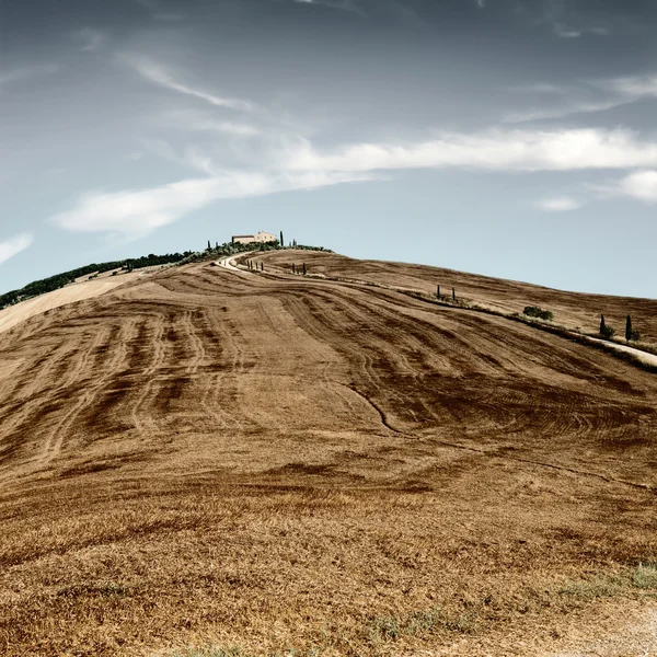 Cypress alley leidt tot de boerderij in Toscane — Stockfoto