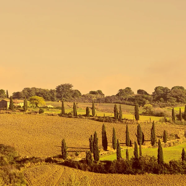 Colline in pendenza della Toscana in autunno — Foto Stock