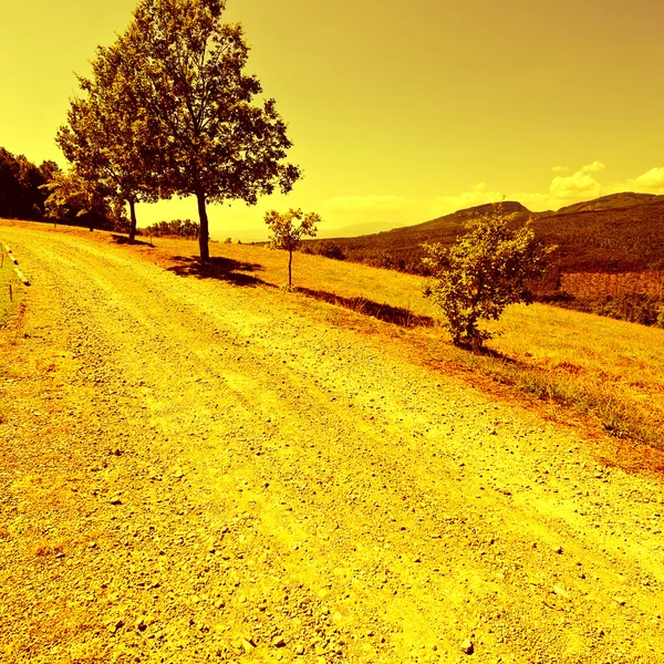 Estrada de terra — Fotografia de Stock