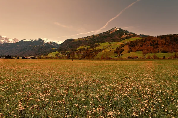 Schweizer Alpen — Stockfoto