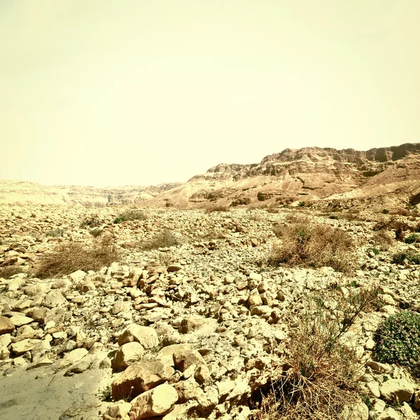 Deserto de pedra — Fotografia de Stock