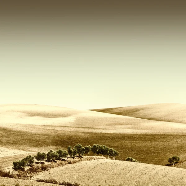 Colline in pendenza — Foto Stock