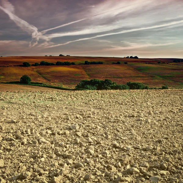 Plowed Field — Stock Photo, Image