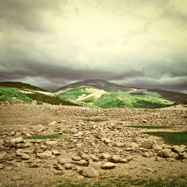 Moss and Stones — Stock Photo, Image