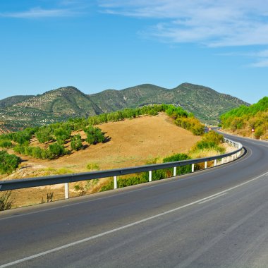 Bahçeleri arasındaki yol
