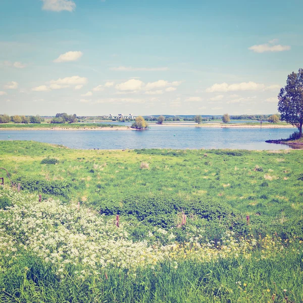 Pasture — Stock Photo, Image